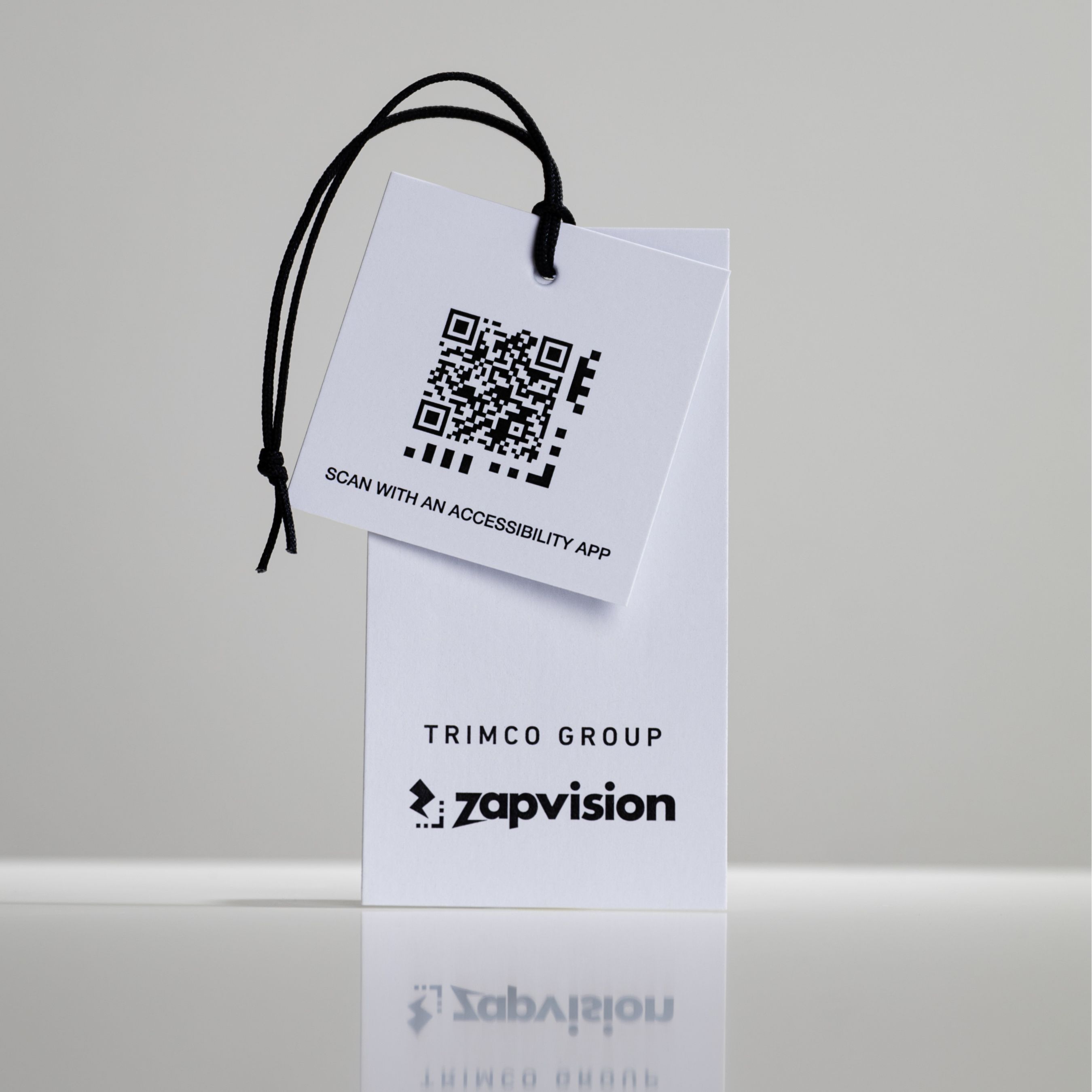 Making DPP Inclusive: Accessible QR Codes for Blind & Low Vision Users